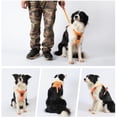 thumbnail image 4 of Correa para el pecho para perros,chaleco acolchado suave ajustable para perros,chaleco reflectante para mascotas fácil de caminar para perros medianos, 4 of 6