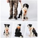 thumbnail image 4 of Popular!Correa para el pecho para perros,chaleco acolchado suave ajustable para perros,chaleco reflectante para mascotas fácil de caminar para perros medianos, 4 of 6