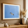 thumbnail image 5 of Seagull in Flight - Ocean City Maryland Photography Bird Nature Wildlife Minimalist Animal Scenic Unframed Wall Art Print 5 x 7 inches, 5 of 7