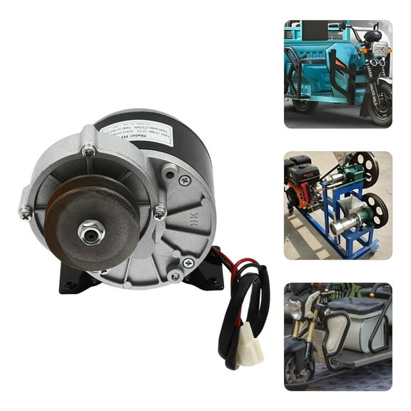 250W Electric Gear Reduction Motor with Belt Pulley for Scooters, E-bikes, Electric Cars, Tricycles 12V DC