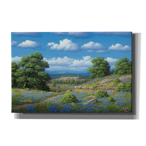 Epic Graffiti 'Hill Country Blues' by R. Hed, Canvas Wall Art, 18"x12"