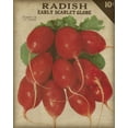 thumbnail image 2 of Fagalde, Jarman 20x24 White Modern Wood Framed Museum Art Print Titled - Heirloom Variety I, 2 of 4