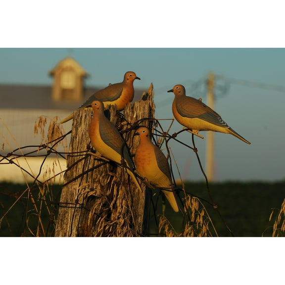 GHG Mourning Dove Decoy 6PK