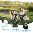 thumbnail image 6 of Cat Vest Harness and Small Dog Vest Harness for Walking, All Weather Mesh Harness, Cat Vest Harness with Reflective Strap, Step in Adjustable Harness for Small Cats, 6 of 8