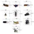 thumbnail image 5 of Automotive Exterior Decoration Dragonflys Design Realistics 3D Design for Cars Automotive Styling Accessory, 5 of 5