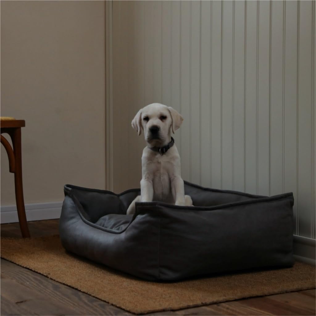 RKXQT Dog Bed Creative Waterproof Kennel Pet Bed Sofa Cat Kennel Supplies Kennel Sponge Removable and Washable Comfortable Dog Bed Pet Bed