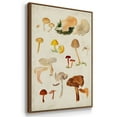 thumbnail image 3 of Mushroom Species X - Framed Premium Gallery Wrapped Canvas L Frame 3 Piece Set - Ready to Hang, 3 of 9