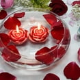 thumbnail image 3 of Zest Candle 12-Piece Folding Candles, 3-Inch, Red Rose, 3 of 5