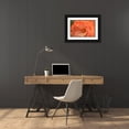 thumbnail image 3 of Crane, Rita 24x17 Black Ornate Wood Framed with Double Matting Museum Art Print Titled - Orange Ruffles II, 3 of 4