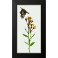 thumbnail image 2 of Wang, Melissa 14x24 Black Modern Framed Museum Art Print Titled - Tephroseris Flammea I, 2 of 5
