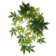 thumbnail image 3 of 2 x Jungle Climber Vines Hojas de flexibles con ventosa Decoración de hábitat para escalada, camaleón, , gecko, serpient Yuyangstore Reptiles Vine Jungle, 3 of 8