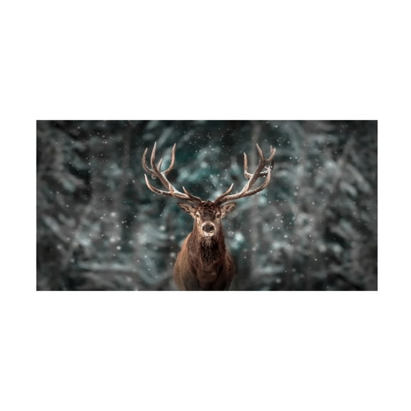 Trademark Fine Art Kim Lee Deer King Canvas Wall Art