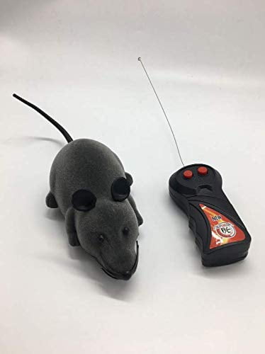remote control rat