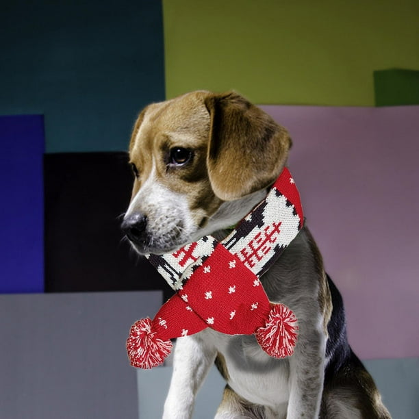 Dog christmas scarf hotsell