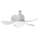 thumbnail image 1 of Ndcxsfigh Ventilador Techo Con Base E27 LED para Ventilador Techo (control Remoto Blanco + Extensor), 1 of 9
