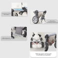 thumbnail image 3 of Walking Dog Cart For Disabled Pet Adjustable Dog Two Wheel Wheelchair Lightweight Mobility Aid Pet Support, 3 of 11