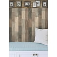 thumbnail image 2 of York Wallcoverings Aviary Wallpaper Border, 2 of 2