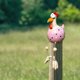 thumbnail image 3 of Lindo enchufe de resina escultura de pollo día de la madre gallina gallo estatua (rosa) Ehuebsd Libre de BPA, 3 of 8