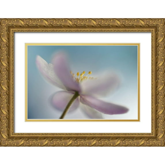 Westum, Heidi 32x23 Gold Ornate Wood Framed with Double Matting Museum Art Print Titled - Against the sky