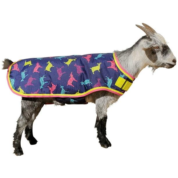 XXXLarge Jeffers Exclusive Goat Blanket
