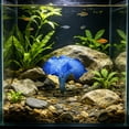 thumbnail image 6 of Blue Fish Tank Decoration, Glow-in-the-Dark Silicone Sea Anemone 4x3.5 Inches, Luminous Aquarium Decor Ornament for Fish Tank, Soft Flexible Tentacle Plant for Freshwater Saltwater, 6 of 6