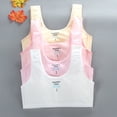 thumbnail image 2 of Sujetador deportivo para niñas, estilo chaleco de algodón de doble capa, corsé coreano para estudiantes de secundaria, 12 estudiantes, 16 años, 2 of 6