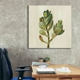 thumbnail image 6 of Epic Graffiti 'Front Yard Succulent II' by Silvia Vassileva, Canvas Wall Art, 37"x37", 6 of 8