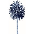 thumbnail image 3 of Blake, Madeline 14x24 Black Modern Framed Museum Art Print Titled - Palm Tree Blue II, 3 of 5