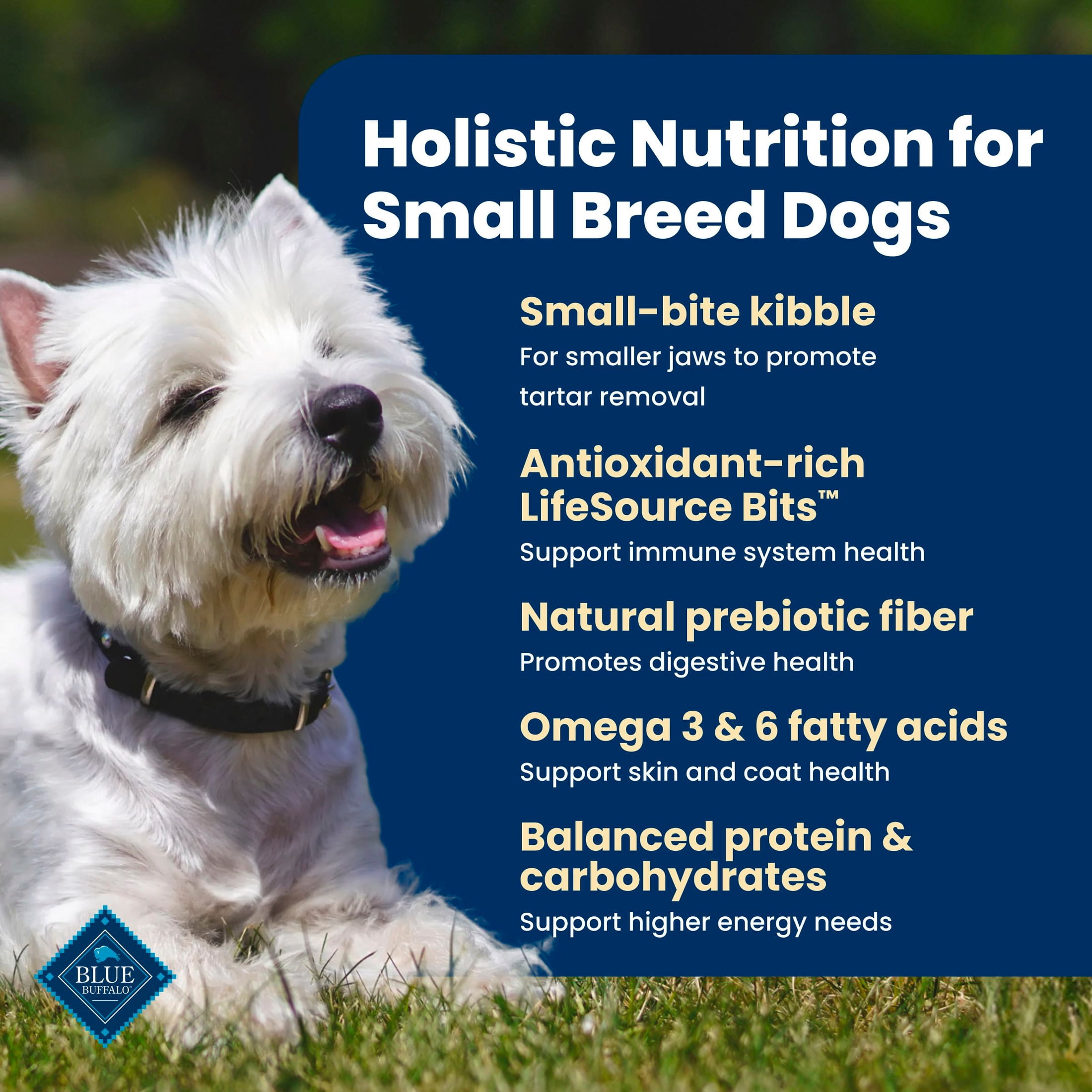 (3 pack) Blue Buffalo Life Protection Formula Small Breed Dry Dog Food Chicken & Brown Rice 5lb Bag