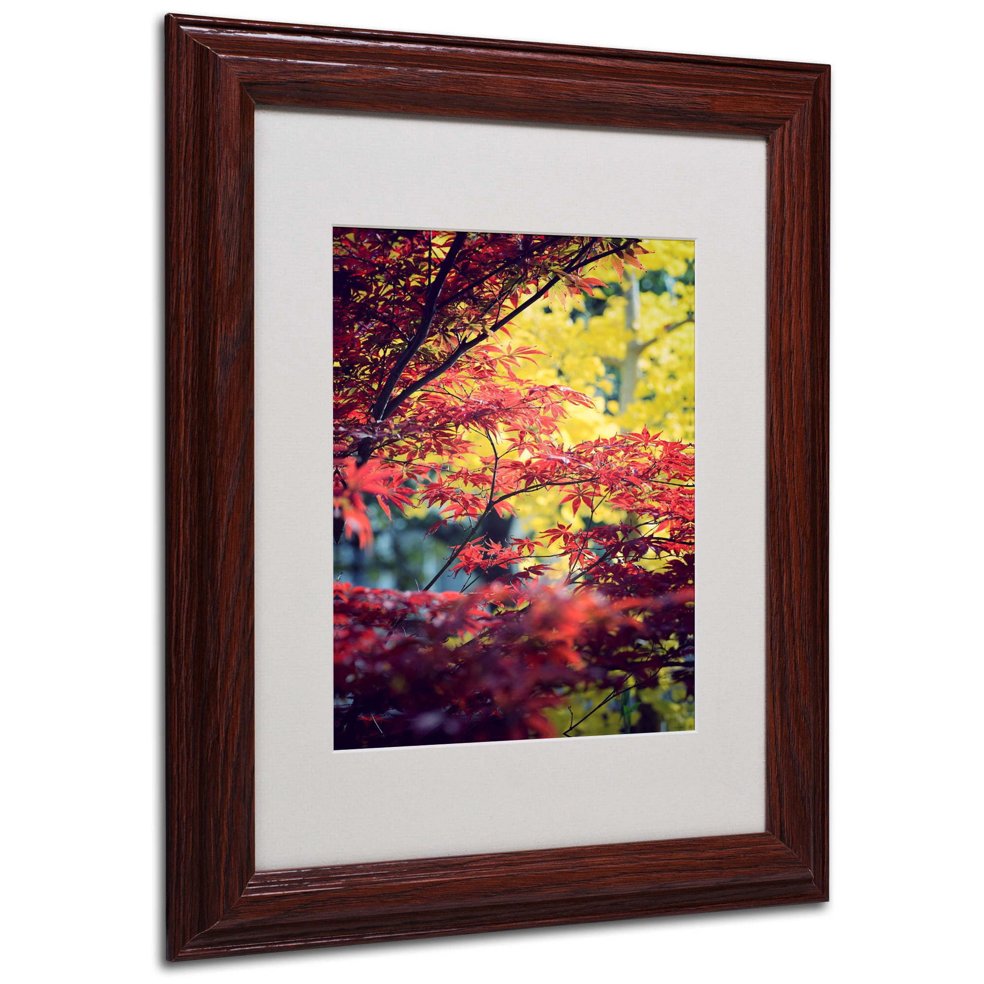 "Red vs Yellow" Canvas Art by Philippe Sainte-Laudy, Wood Frame