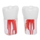 thumbnail image 2 of Modelo de dientes de conducto radicular modelo de diente dental cantidad suficiente multiusos para enseñanza en hospitales ANGGREK Otros, 2 of 8
