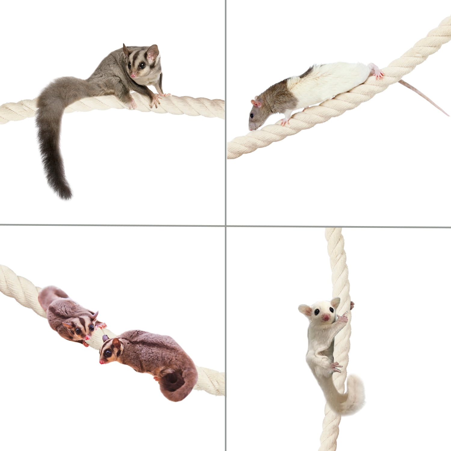Exotic Nutrition Natural Rope (Thick) - Small Animal Cage Accessory - Sugar Glider, Squirrel, Marmoset, Parrot, Birds