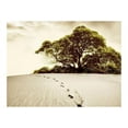 thumbnail image 3 of Tiptophomedecor Landscape Wallpaper Wall Mural - Tree In The Desert, 3 of 4