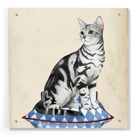 Epic Art 'Lady Cat I' by Grace Popp, Acrylic Wall Glass, 24"x24"