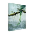 thumbnail image 3 of Trademark Fine Art Harro Maass Resplendent Quetzal Canvas Wall Art - 35x47, 3 of 5