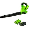 Greenworks 40V 135 CFM Cordless Leaf Blower/Sweeper w/4.0 Ah Battery, 24212