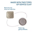 thumbnail image 6 of Cetaphil DermaControl Purifying Clay Mask with Bentonite Clay for Sensitive Skin, 3 oz, 6 of 11