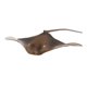 thumbnail image 1 of Figura Realista De Animal Marino Para Decoración De Acuarios, 1 of 7