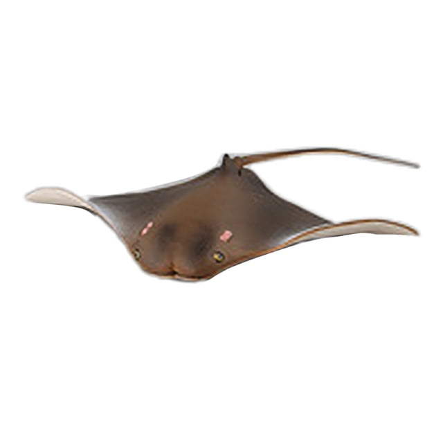 Figurine Réaliste d'Animal Marin Modèle Sculpture Détaillée de Créature Océanique pour Décoration de Aquarium