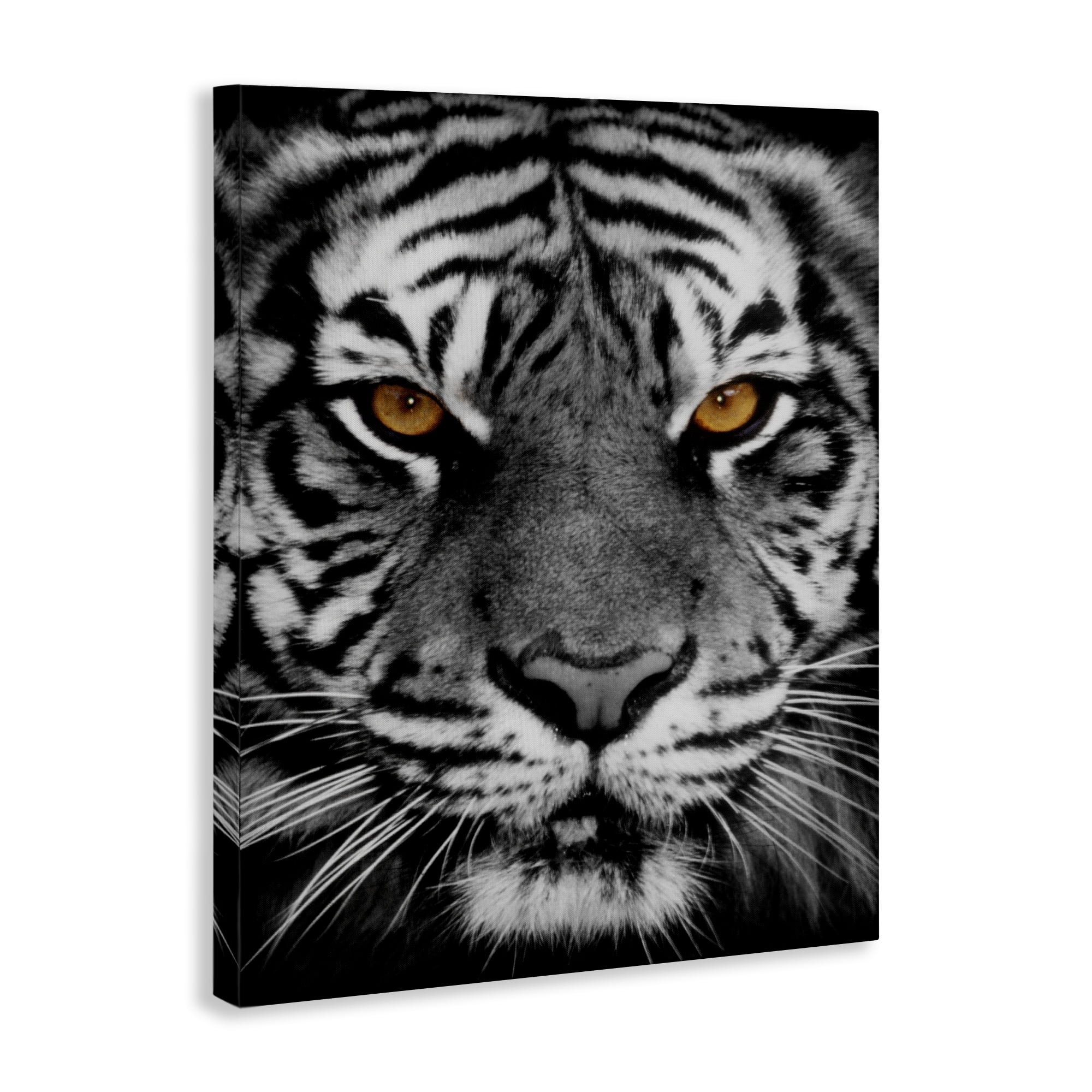 Stupell Industries Fierce Eyed Tiger Animals Painting Wrapped Canvas Art Print Wall Art, 16 x 20