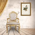 thumbnail image 3 of Gould, John 11x14 Gold Ornate Wood Framed with Double Matting Museum Art Print Titled - Elegant Trogons VII, 3 of 4