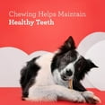 thumbnail image 6 of DreamBone DreamSticks Made with Real Sweet Potato, Rawhide-Free Chews for Dogs, 10 Count, 6 of 9