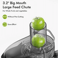 thumbnail image 2 of SiFENE 800W Centrifugal Juicer Machine, Large 3.2'' Feed Chute for Whole Fruit & Vegetables, Dual Speeds, Easy to Clean, Silver, 2 of 7