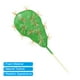 thumbnail image 4 of Uxcell 7"x3" Cactus Falso Plantas Suculentas Artificiales Decoración de Cactus Planta Falsa Sin Maceta Paquete de 2 Piezas, 4 of 5