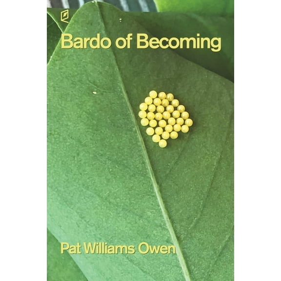Bardo of Becoming, (Paperback)