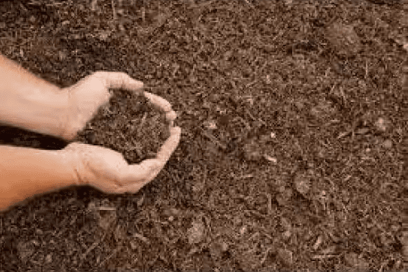 Permagreen Mushroom Compost Blend, 1.5 cu ft - 100% Organic
