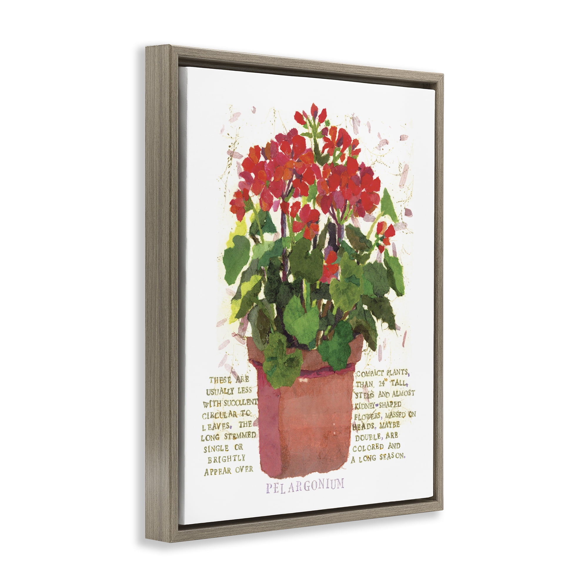 Stupell Industries Red Potted Geranium Botanical & Floral Painting Brown Floater Framed Canvas Art Print Wall Art, 17 x 21