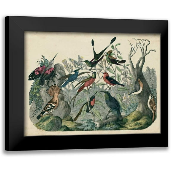 Unknown 14x12 Black Modern Framed Museum Art Print Titled - Habitat for Birds