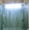BLUE PEBBLES, variant on JUPA Place Clear Blue Pebbles Shower Curtain Liner - Waterproof & Quick-Drying PEVA Plastic Bathroom Curtain - Lightweight and Odor-Free - 72x72 Inches