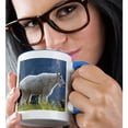 thumbnail image 2 of 3drose, Mountain Goat, Waterton Glacier Peace Park - Us27 Rkl0008 - Raymond Klass, 15oz Two-tone Blue Mug, 2 of 6